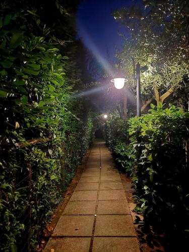 a garden path at night with a street light at Villa Margot in Agropoli