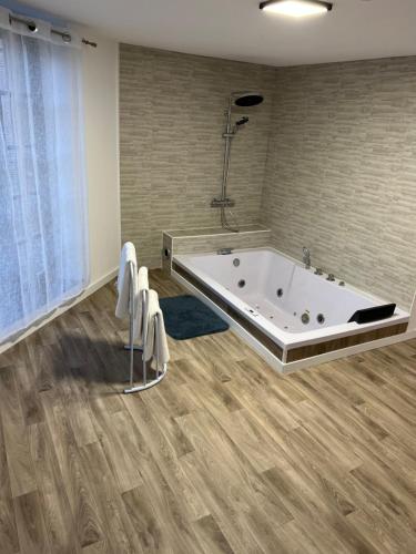 Koupelna v ubytování Magnifique Loft 35m2 Jacuzzi RVB NIGHT 1