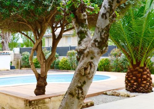 2 arbres en face d'une piscine dans l'établissement Charmante Chartreuse Bordelaise - Ancien Chai, à Tabernottes