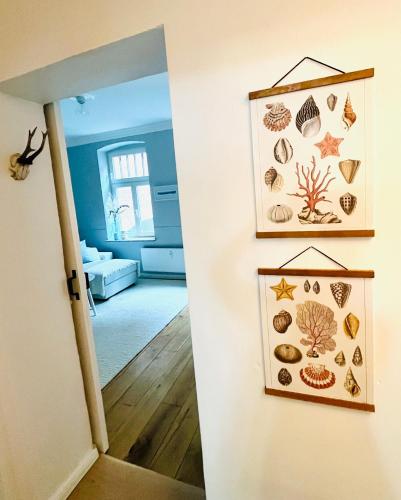 a hallway with a wall with shells on it at 3 Zimmer Ferienwohnung Burghof mit Balkon im Herzen Flensburgs in Flensburg
