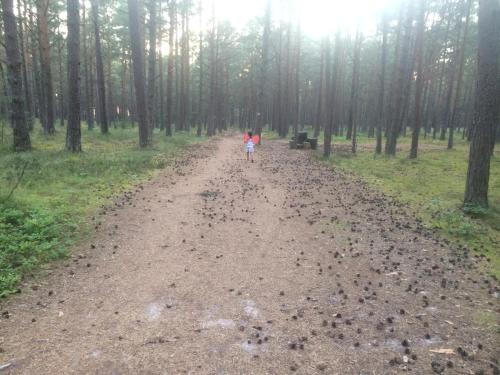 a child walking down a dirt road in the woods at ZACISZNY DOMEK Z OGRODEM NAD MORZEM in Rowy