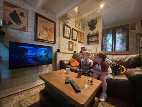 Televízia a/alebo spoločenská miestnosť v ubytovaní La cabane des sorciers