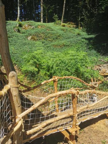 a wooden bench in front of a field of plants at Gîte nature Au pied des hêtres in Vitrac-sur-Montane