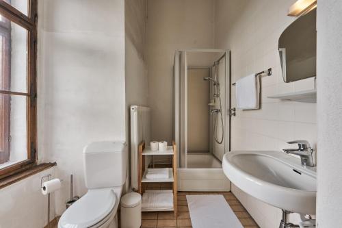 a bathroom with a toilet and a sink and a shower at Schloss Drosendorf in Drosendorf Stadt
