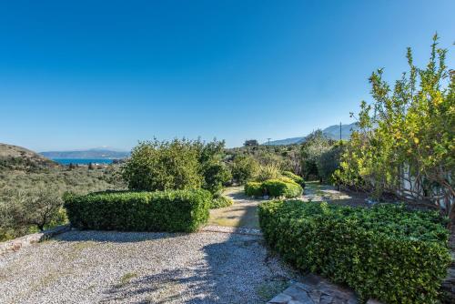 a garden with bushes and trees on a sunny day at Olive Garden Vila in Exopoli