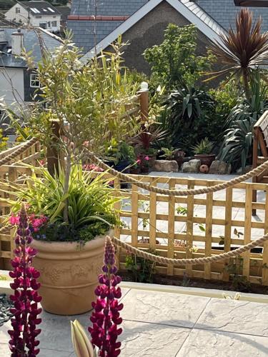 a garden with a bunch of plants and flowers at West Winds, Fore Street, Polruan by Fowey in Polruan