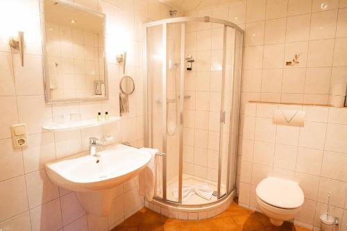 ein Bad mit einer Dusche, einem Waschbecken und einem WC in der Unterkunft Landgasthaus Steffes Hof in Bad Berleburg