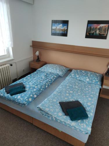 Postel nebo postele na pokoji v ubytování Penzion Valeš
