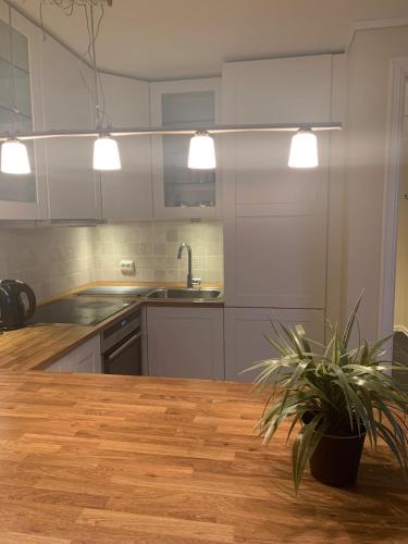 a kitchen with a wooden table with a potted plant at Bo i hjertet av Sunnmøre in Ålesund