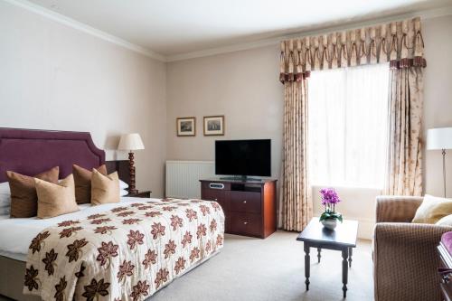 TV a/nebo společenská místnost v ubytování Audleys Wood Hotel, Basingstoke