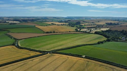 an aerial view of a field of crops at Furlong Cottage @ Higher Stancombe Farm in Kingsbridge