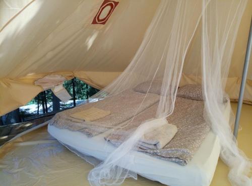 Hillside Bio Glamping