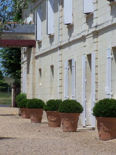 a row of potted plants in front of a building at Le Domaine de Mestré, The Originals Relais in Fontevraud-l'Abbaye