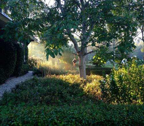 a person standing under a tree in a yard at De Spaanse Ruiter in Leusden
