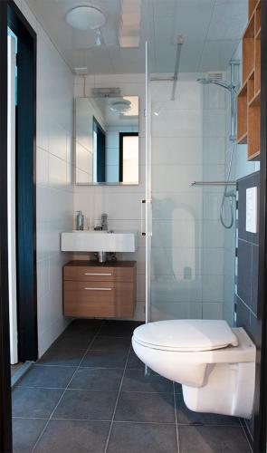 a bathroom with a shower and a toilet and a sink at De Spaanse Ruiter in Leusden