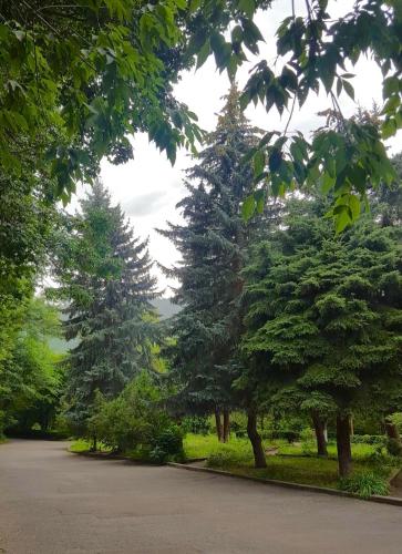 a tree lined road with trees in a park at Vanadzor Armenia Hotel in Vanadzor
