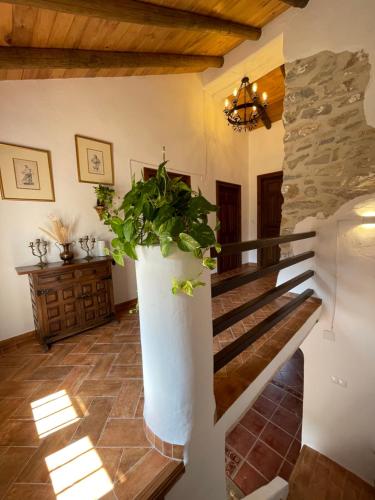 Vstupní hala nebo recepce v ubytování Cortijo Las Angosturas Montefrío