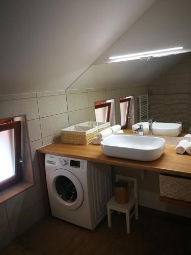 a bathroom with a washing machine and a sink at Apartment 199 in Zgornje Gorje