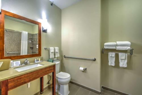 Koupelna v ubytování Comfort Suites Tomball Medical Center