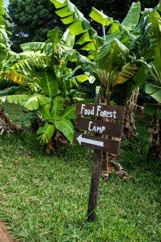 a sign in the grass next to a bunch of bananas at Sky Island Resort in Ponta Malongane