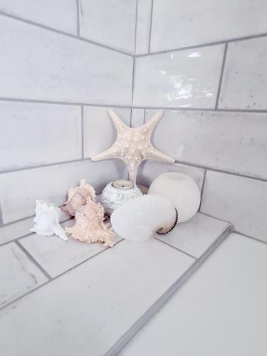 a white tiled counter with shells and a starfish at Casa Pescador Beach House in Struisbaai