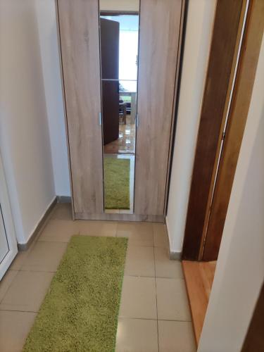 a hallway with a door and a green rug at Apartmans Milijana in Soko Banja
