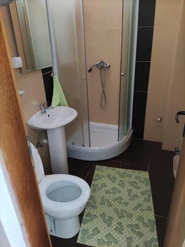 a bathroom with a toilet and a shower and a sink at Apartmans Milijana in Soko Banja