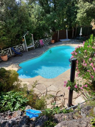 een groot blauw zwembad met stoelen en bloemen bij Robin's Lodge in Vidauban