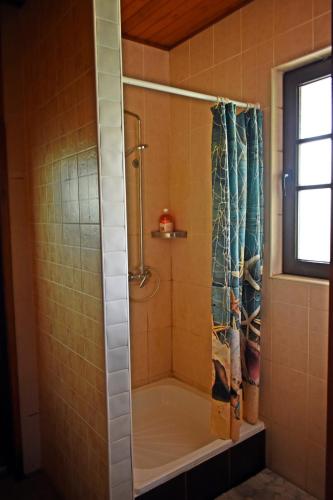 a bathroom with a tub and a shower with a shower curtain at Vesela Sadyba in Veselivka