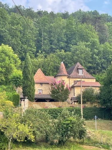 uma casa grande no meio de um campo em Stargazer Studio em Saint-Chamassy