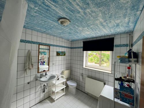 uma casa de banho com um lavatório e um tecto azul em Landhaus Huntlosen Monteure em Großenkneten