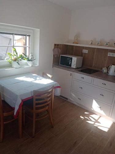 a kitchen with a table and a table and a microwave at Ralsko-Hradcany - apartmán in Hradčany