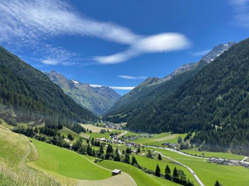 a valley in the mountains with green grass and trees at Haus am Steinbockzentrum in Sankt Leonhard im Pitztal