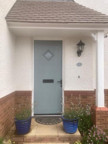 a blue front door of a home with two potted plants at Mill Meadows in Portskewett