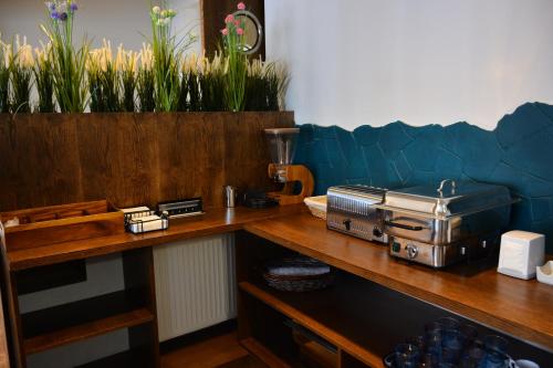 a blue couch with some plants on a table at PENSIUNEA DIANA SKI in Borşa