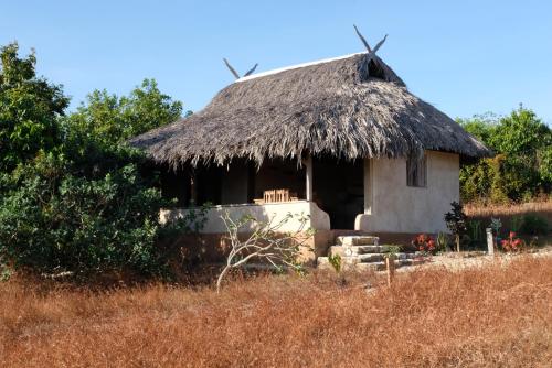 a small hut with a thatched roof and a grass at Rumah Pampa at Pachamama in Nembrala