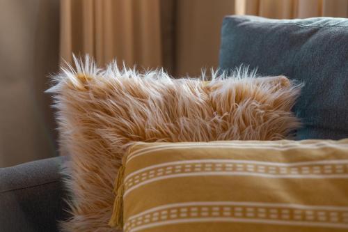 a dog laying on a couch with a pillow at Umkumbe Bush Lodge - Luxury Tented Camp in Sabi Sand Game Reserve