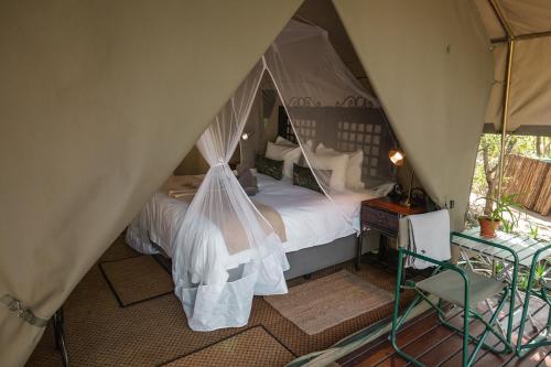 a bedroom with a bed with mosquito net at Umkumbe Bush Lodge - Luxury Tented Camp in Sabi Sand Game Reserve