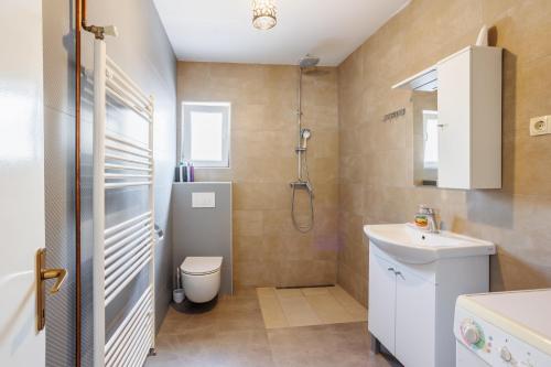 a bathroom with a toilet and a sink and a shower at Villa Lucia in Vukići