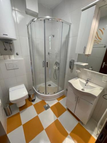 a bathroom with a shower and a toilet and a sink at Konačište Osmica in Mokra Gora