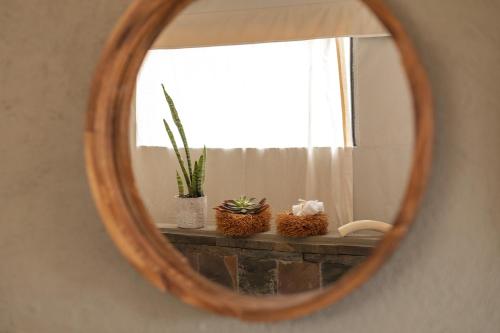 a mirror reflecting a window with plants on a ledge at Umkumbe Bush Lodge - Luxury Tented Camp in Sabi Sand Game Reserve