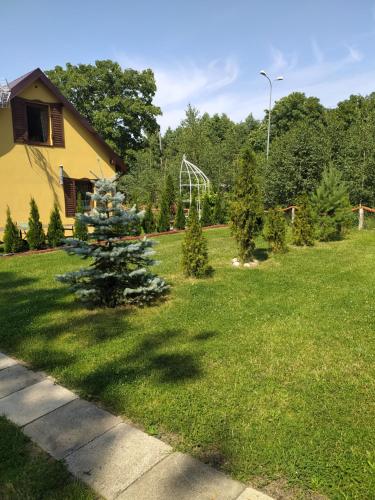 Taman di luar Domki Białogarda