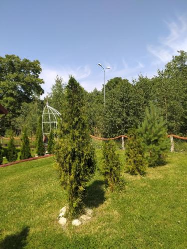 Taman di luar Domki Białogarda