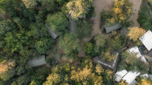 an overhead view of a park with trees and buildings at Umkumbe Bush Lodge - Luxury Tented Camp in Sabi Sand Game Reserve