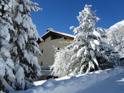 a house covered in snow next to two trees at Residenz La Mora in La Punt-Chamues-ch