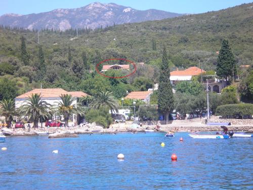 a group of people swimming in a body of water at Apartment Luna in Molunat