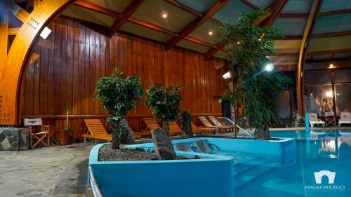 Bazén v ubytování Malalcahuello Thermal Hotel & Spa nebo v jeho okolí