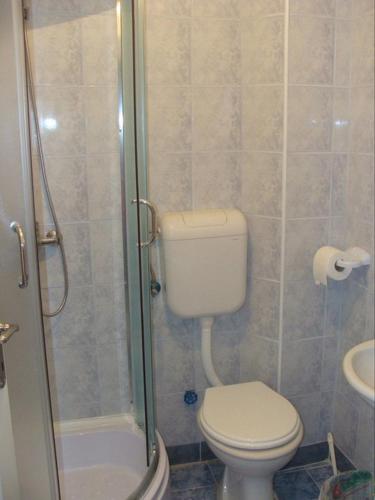 a bathroom with a toilet and a shower at Villa Cvet Rooms in Ohrid