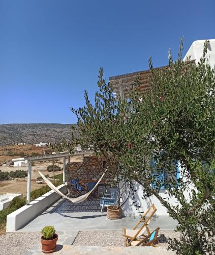 a tree with a hammock in front of a building at Kykladonisia Amorgos in Amorgos
