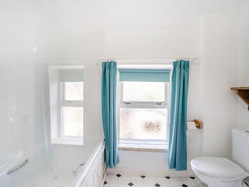 a bathroom with a toilet and a window at Sea Pickle Cottage in Haverfordwest